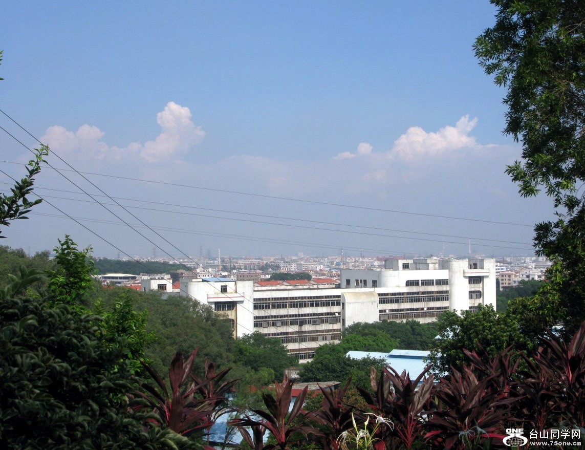 96.jpg