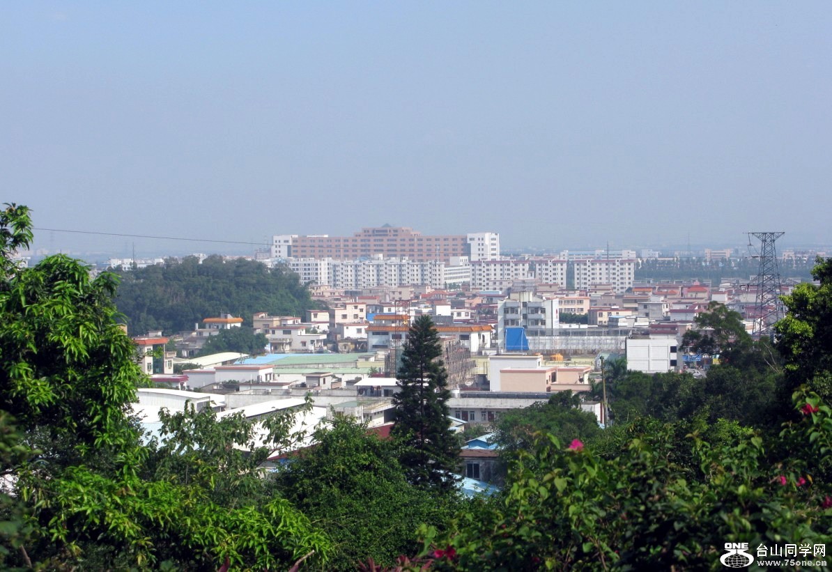 95.jpg