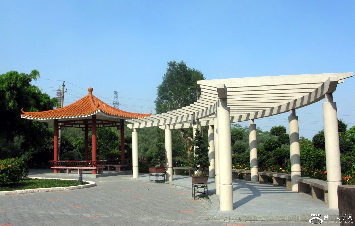 89.jpg