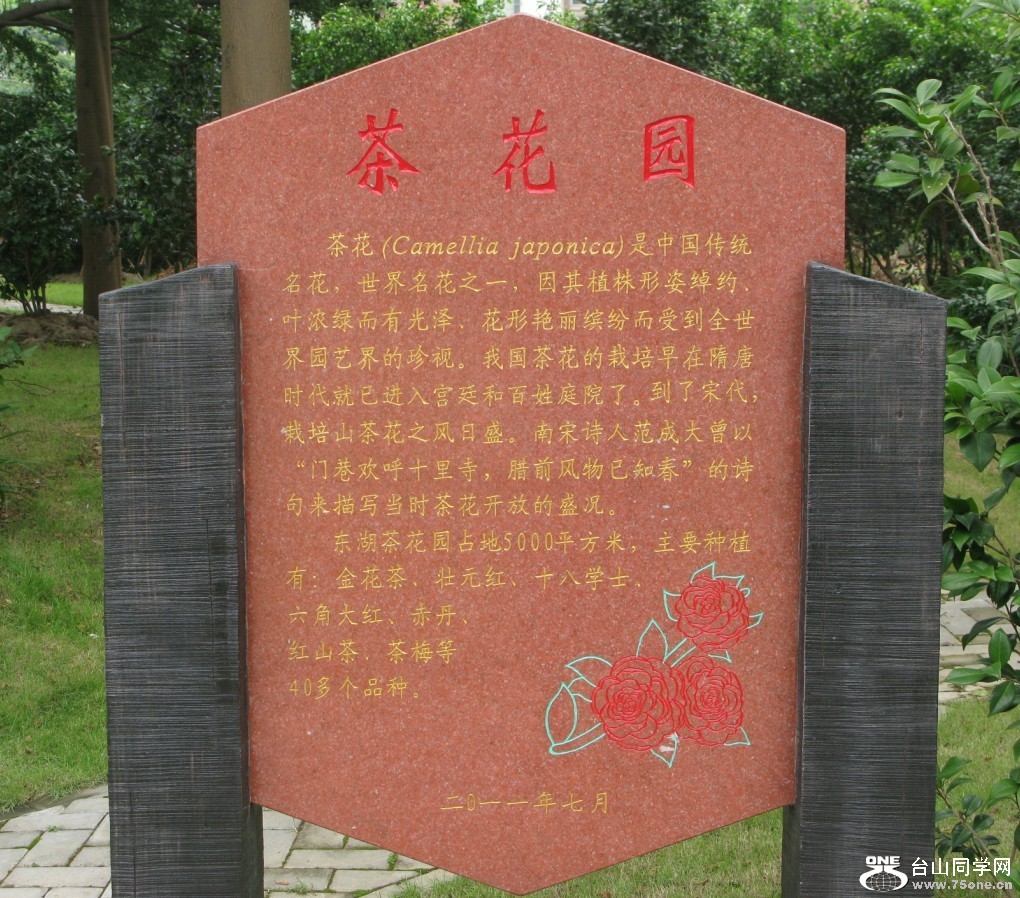 76.jpg