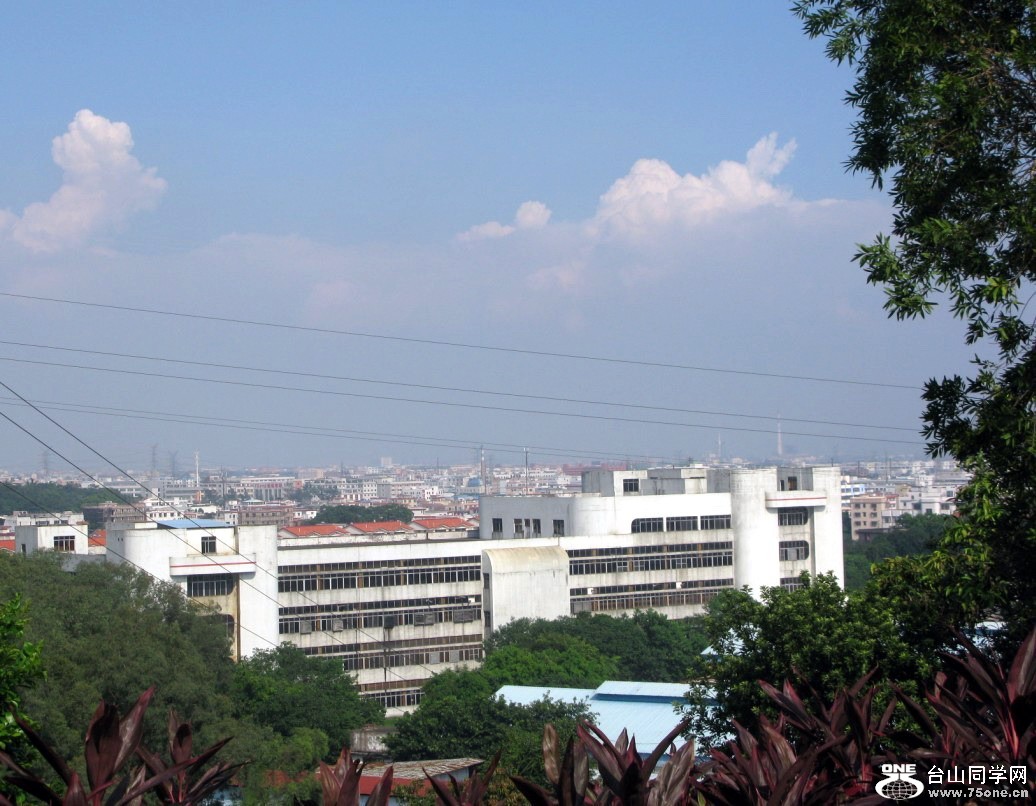 97.jpg