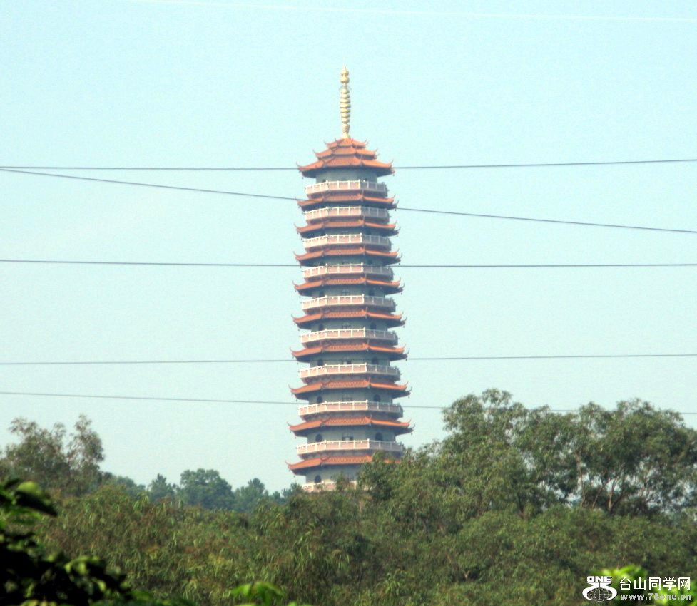 91.jpg