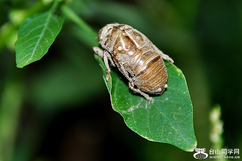 CSC_0395_.jpg