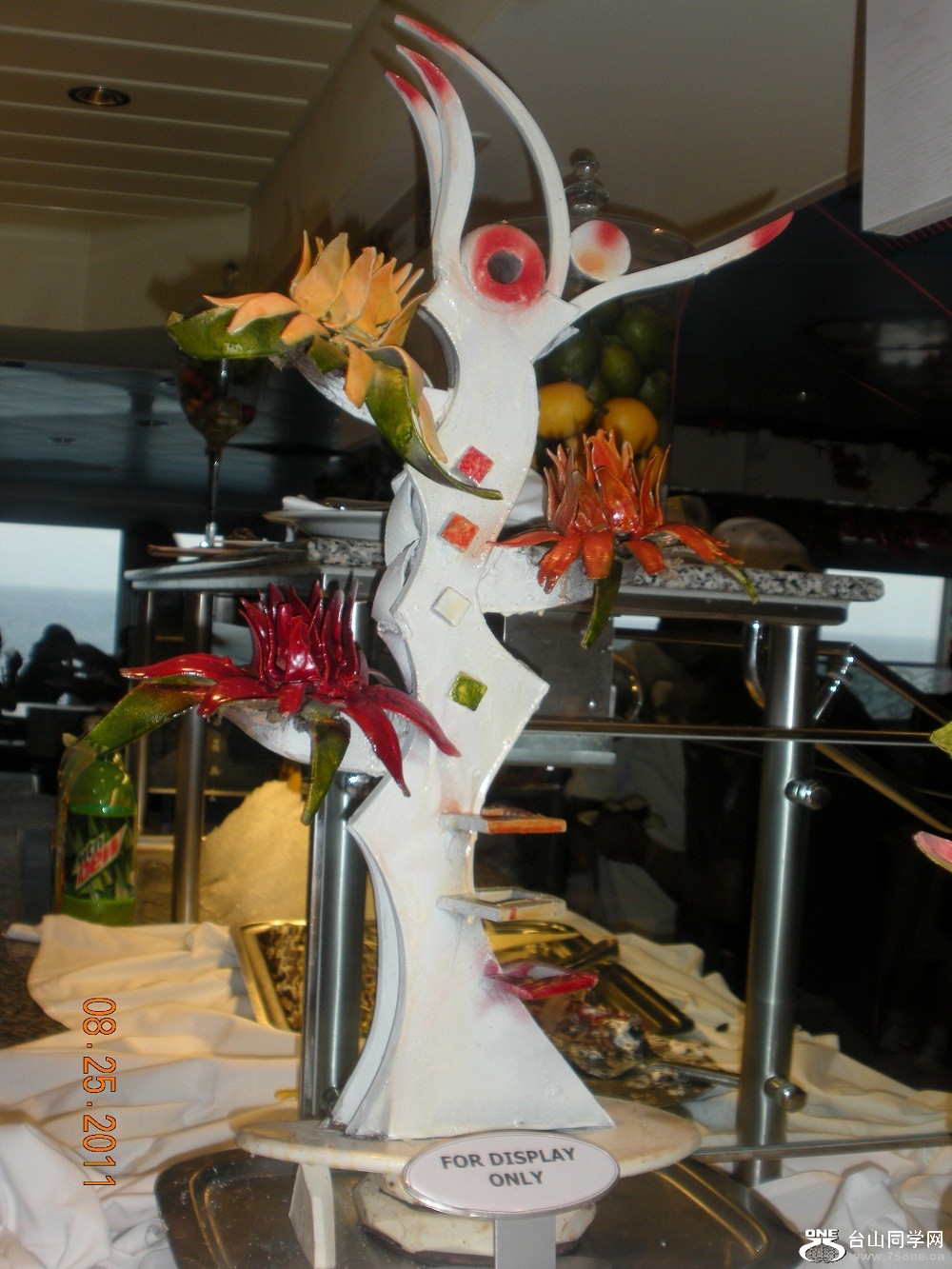 DSCN4894.JPG