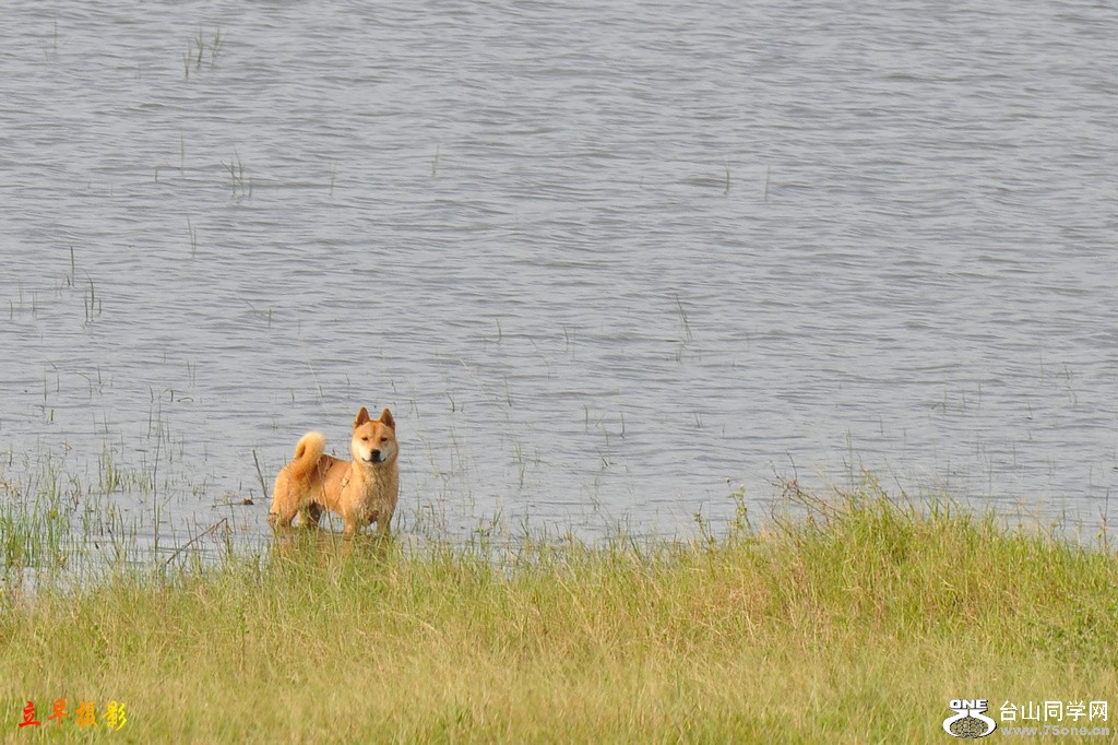 DSC_2328.JPG
