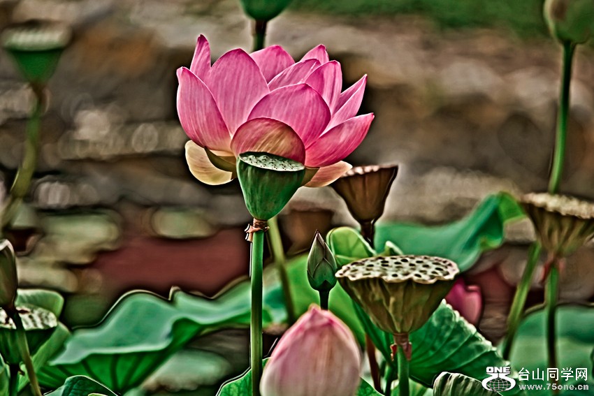 20120724_2687.jpg-3.jpg