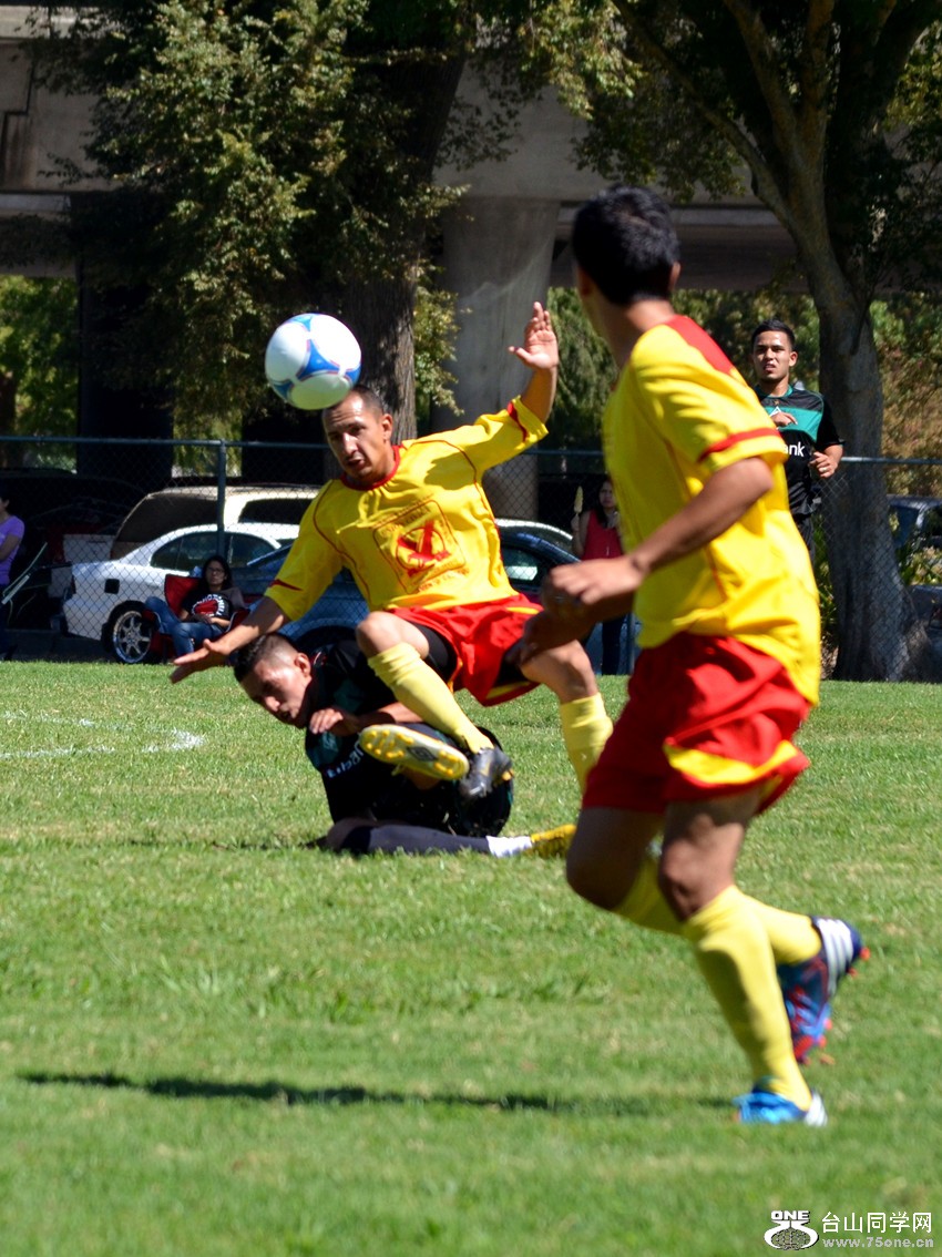 DSC_0684_52.jpg