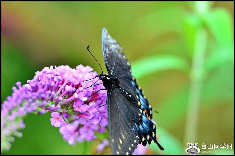 DSC_4025.jpg