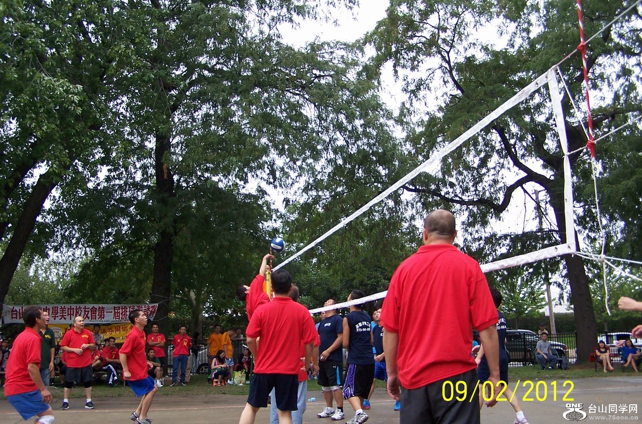 255.jpg