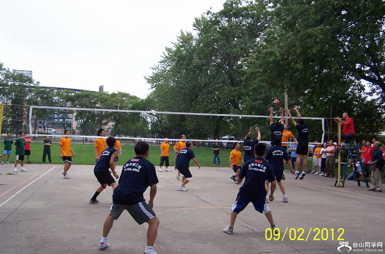 203.jpg
