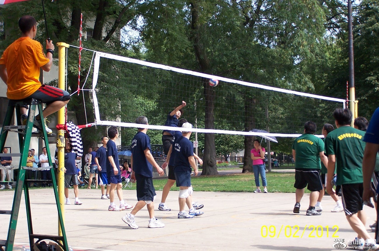 310.jpg
