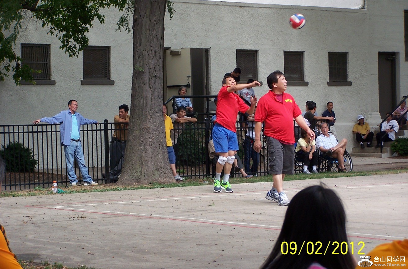 336.jpg