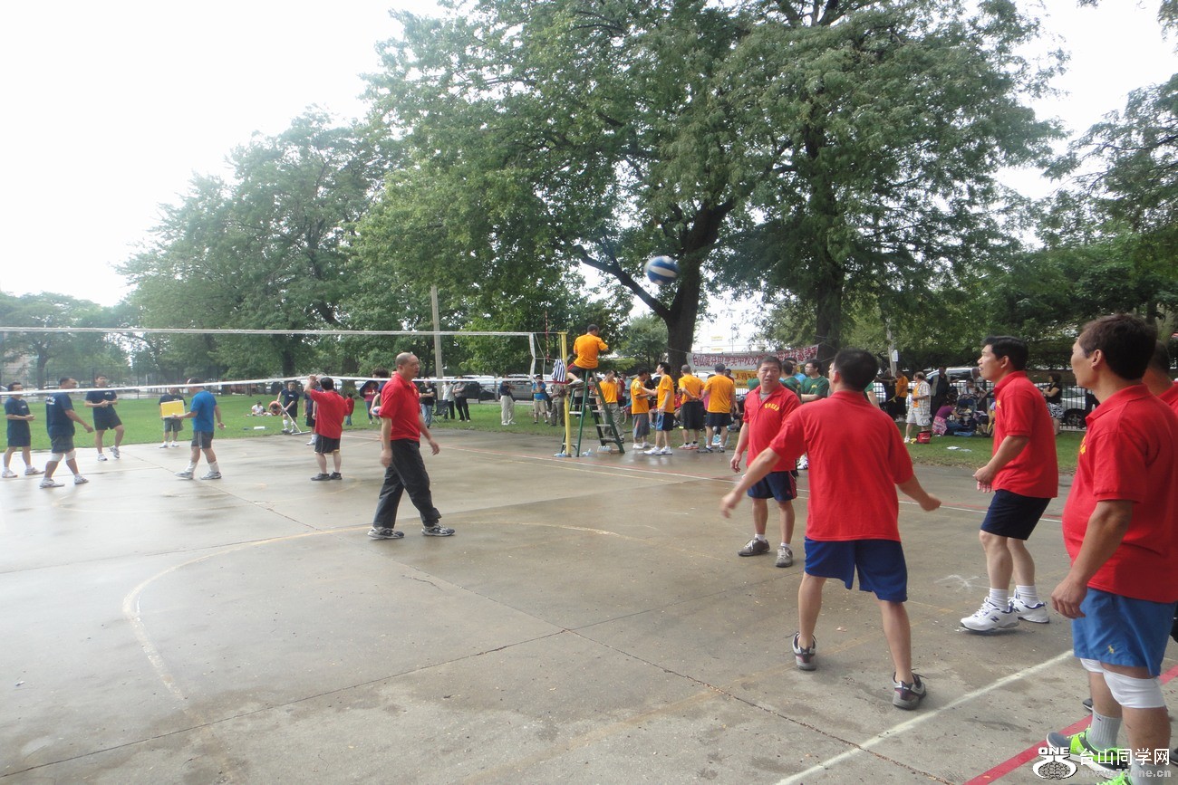 539.jpg