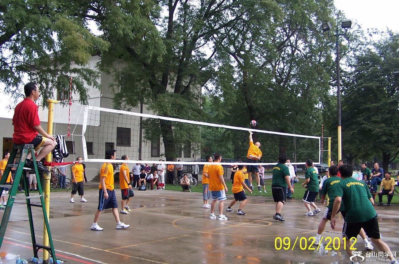 233.jpg