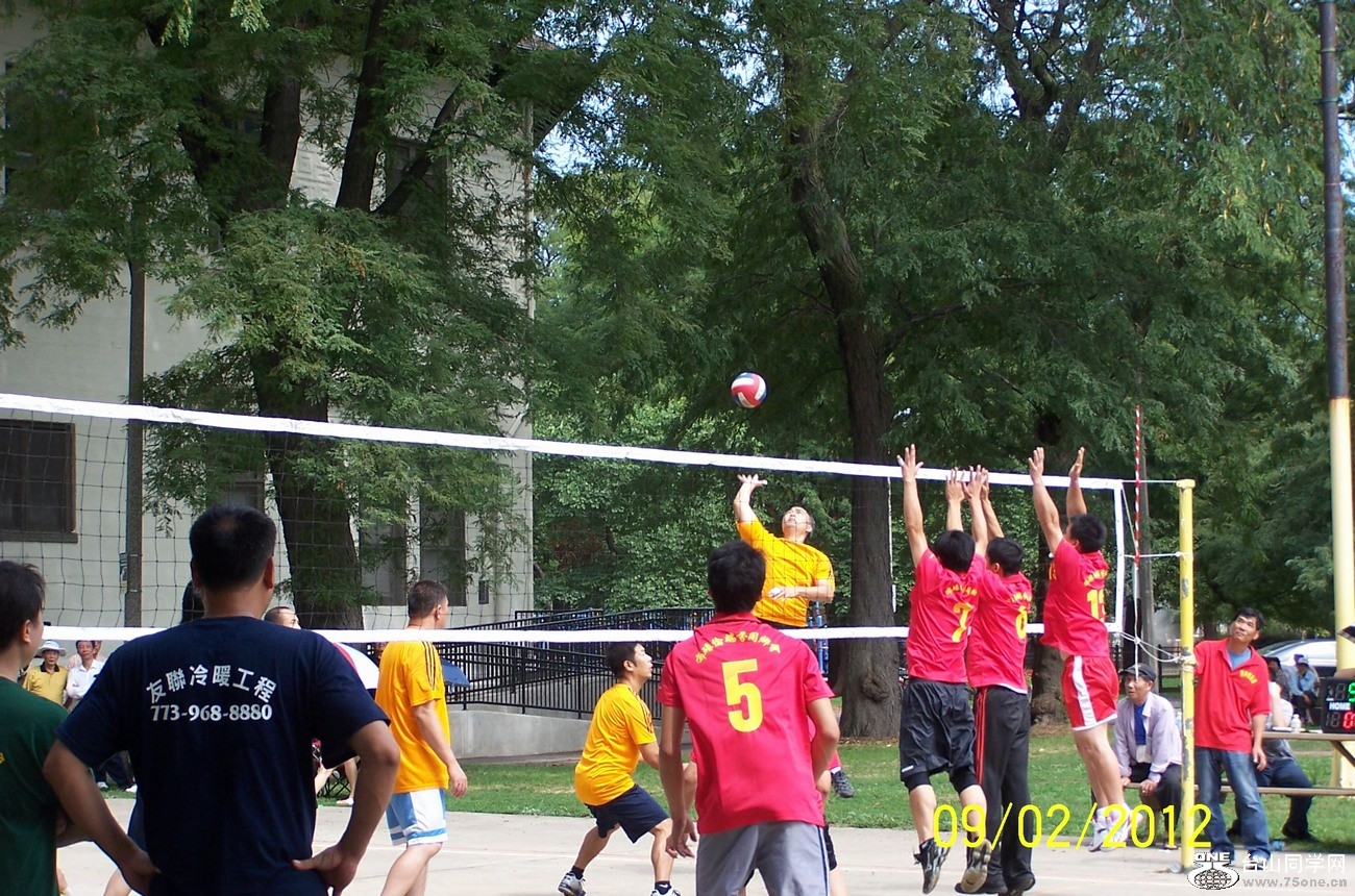 319.jpg