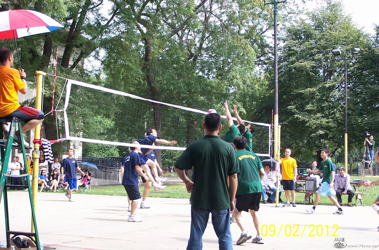 306.jpg
