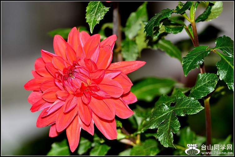 DSC_5968.jpg