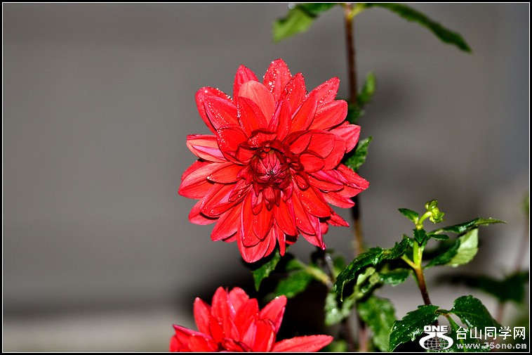 DSC_5974-2.jpg