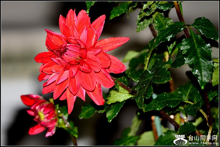 DSC_5988.jpg