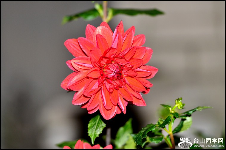 DSC_5966.jpg