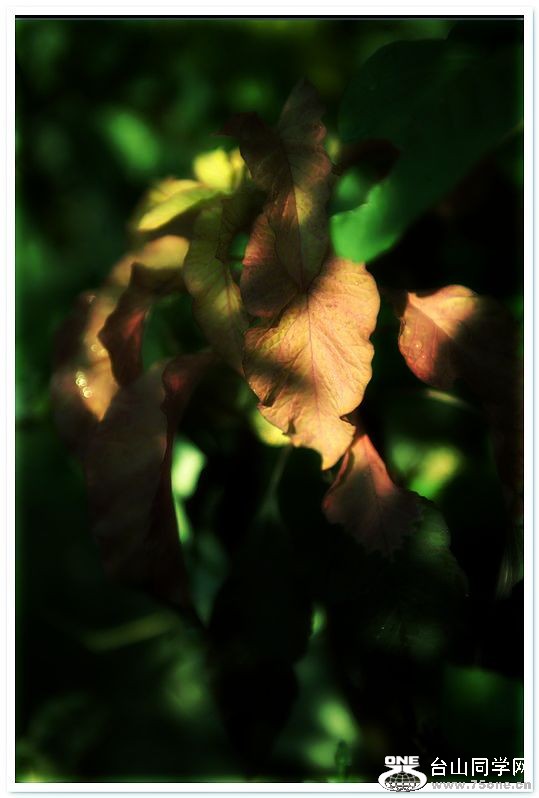 nEO_IMG_DSC_3253.jpg