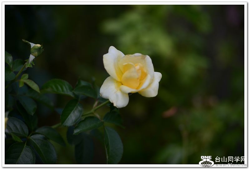 nEO_IMG_DSC_1821.jpg