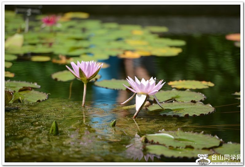 nEO_IMG_DSC_1712.jpg