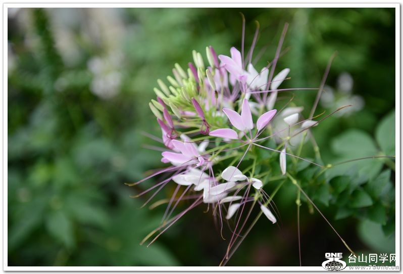 nEO_IMG_DSC_4182.jpg