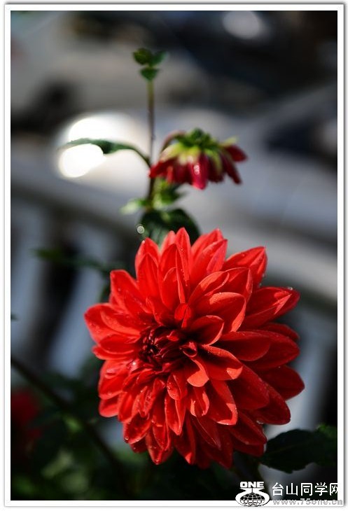 nEO_IMG_DSC_6790.jpg