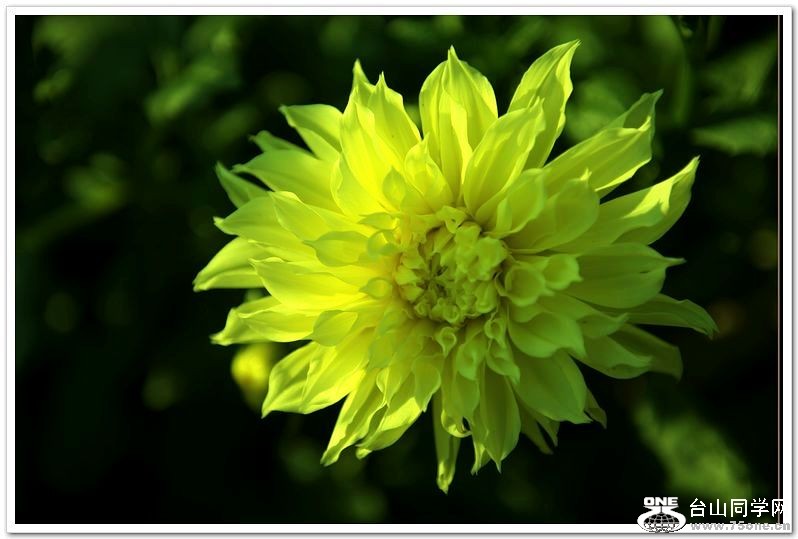 nEO_IMG_DSC_3246.jpg