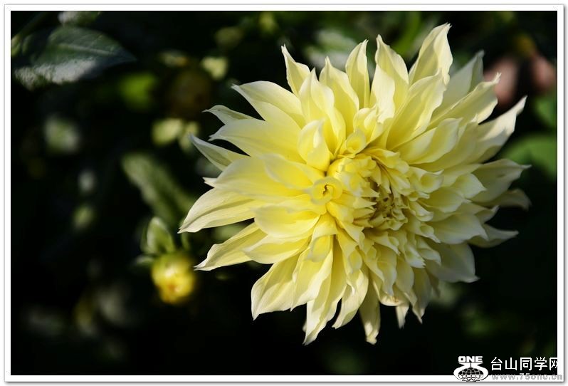 nEO_IMG_DSC_3247.jpg