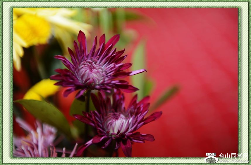 nEO_IMG_DSC_3972.jpg