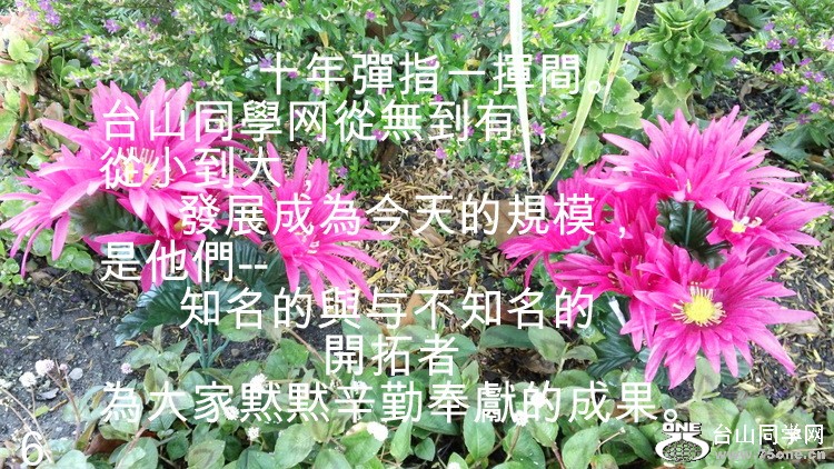 DSC00015.JPG