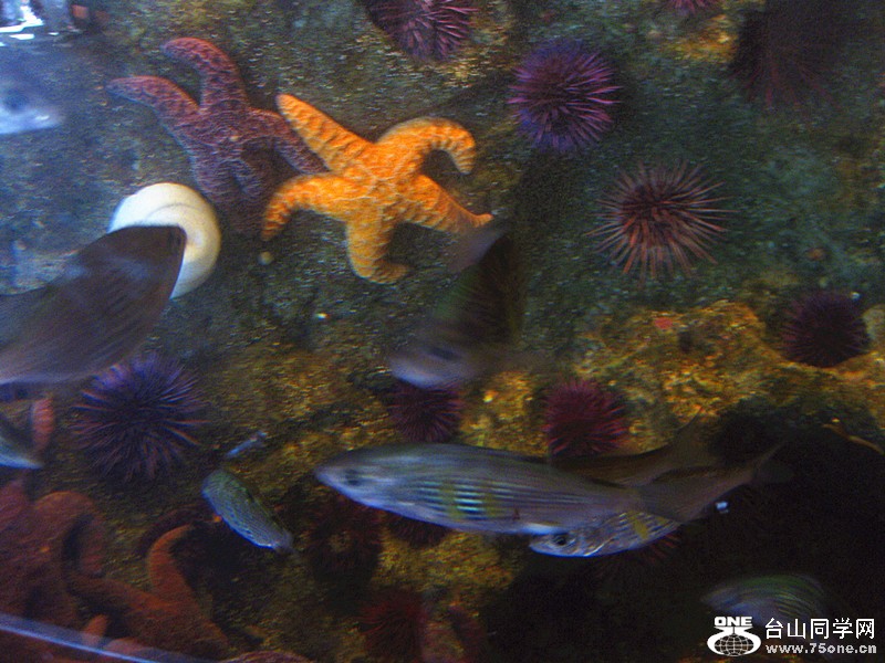 IMG_0057_.jpg