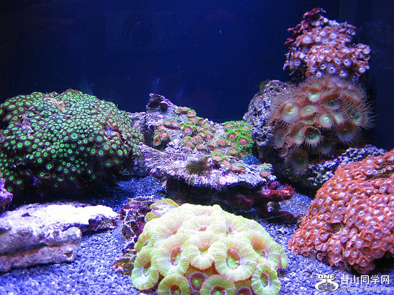 IMG_0144_.jpg