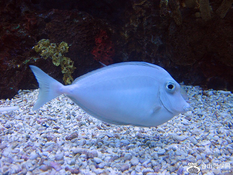 IMG_0156_.jpg