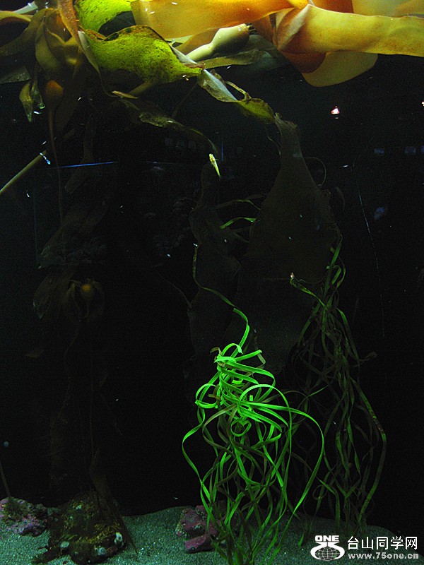 IMG_0186_.jpg