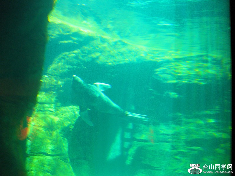 IMG_0216_.jpg
