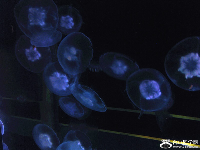 IMG_0072_.jpg