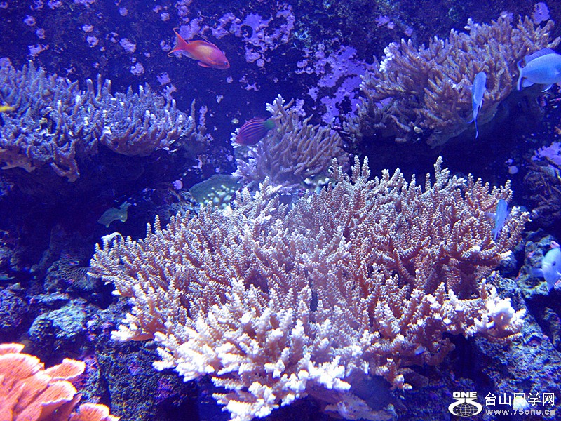 IMG_0118_.jpg
