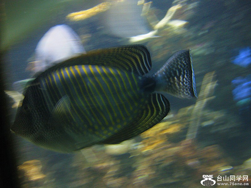 IMG_0107_.jpg