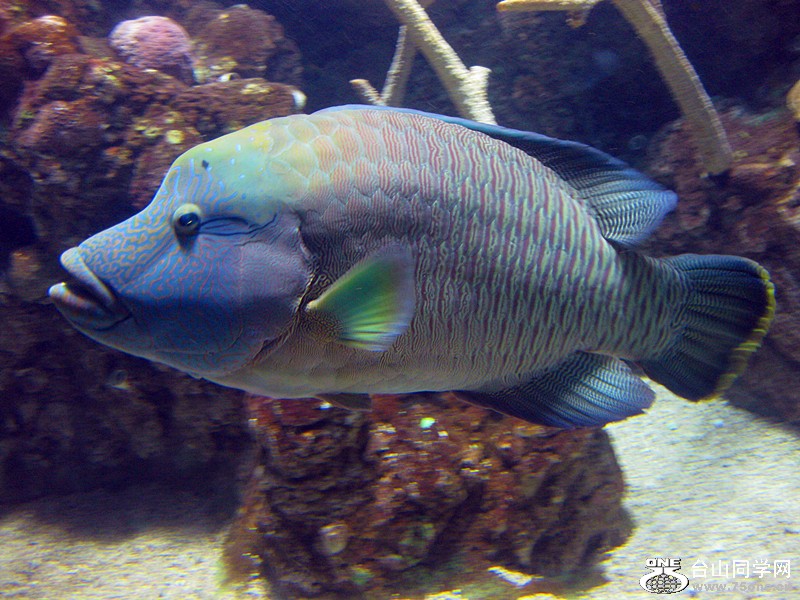 IMG_0109_.jpg