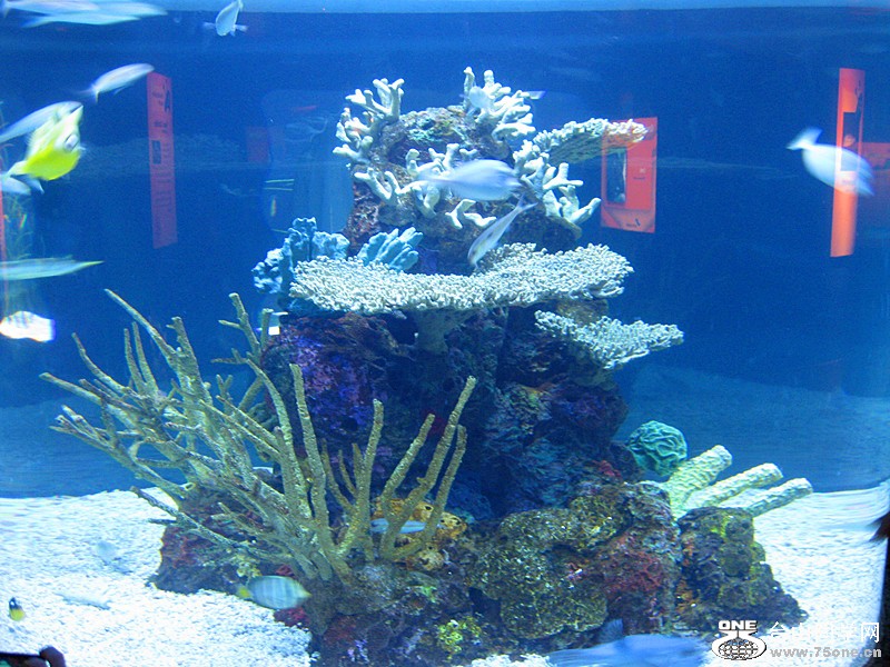 IMG_0153_.jpg