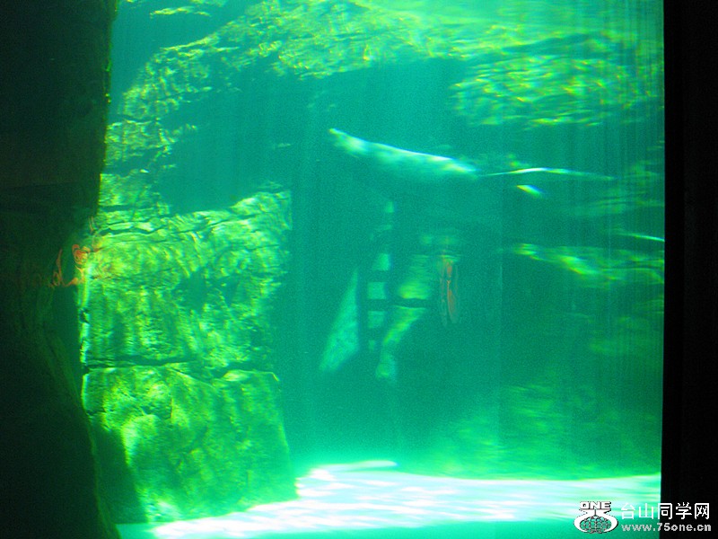 IMG_0215_.jpg