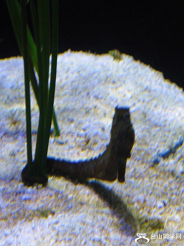 IMG_0142_.jpg