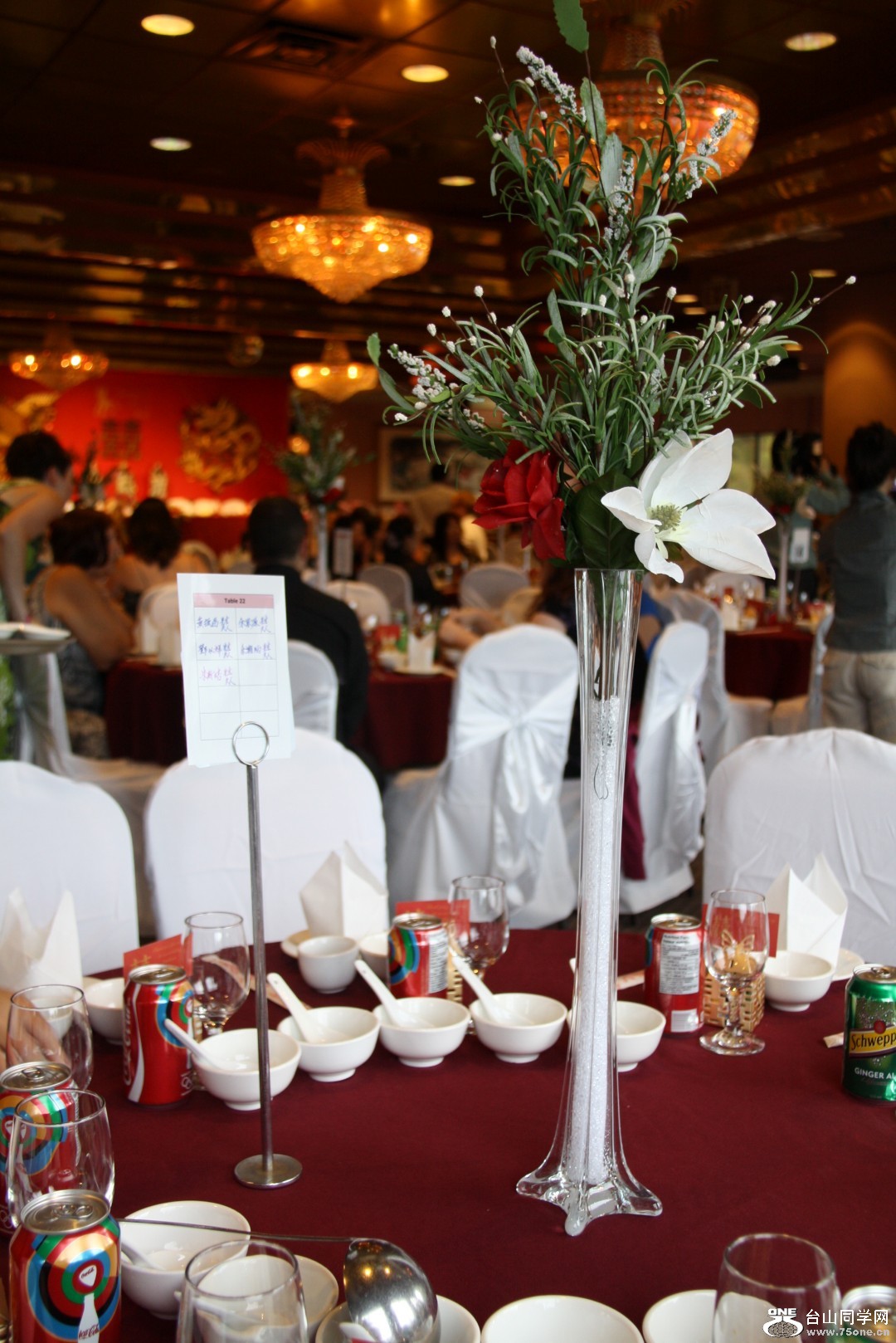 IMG_0408 (Large).JPG