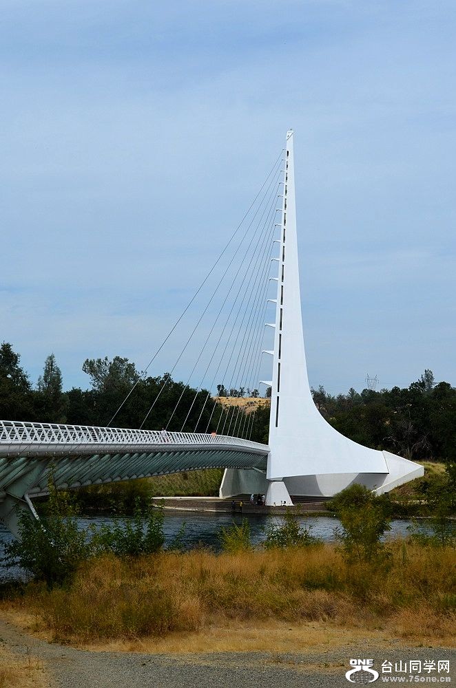 n111.jpg