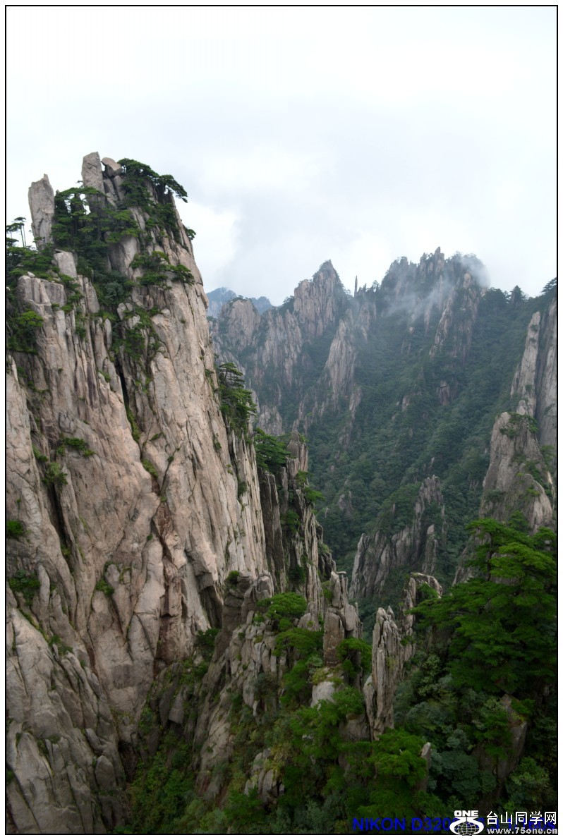 8 239_conew1.jpg