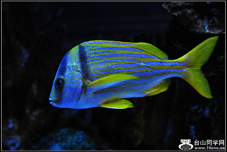 DSC_7119.JPG