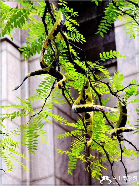 _DSC9896.jpg